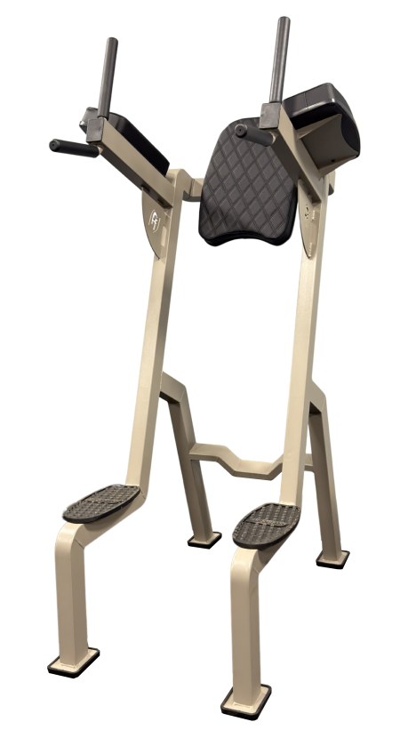 Abdominal Vertical com Paralela Triceps