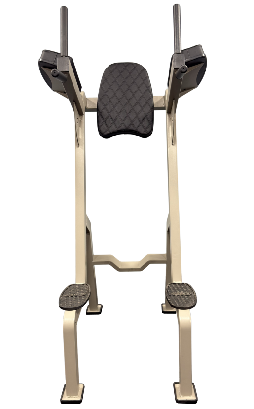 Abdominal Vertical com Paralela Triceps