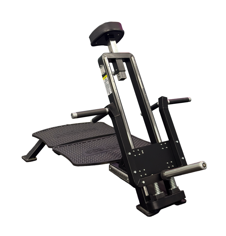 Remada Cavalo Linear